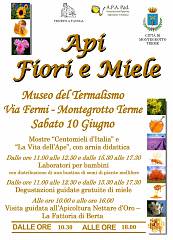 Api, fiori e miele